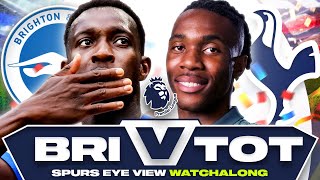 Brighton vs Tottenham  Spurs Eye View Watchalong [upl. by Nim]