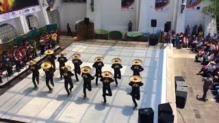 Jalisco  Ballet Folklórico de la Universidad Veracruzana [upl. by Lenad]