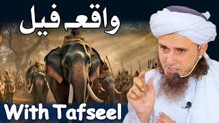 Hathi Walon Ka Waqia  Waqia Feel With Tafseel  HKD Mufti Tariq Masood [upl. by Atteuqihc]