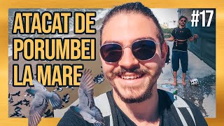 Mau atacat porumbeii la mare  Fac Vlog 17 [upl. by Atnas]