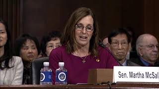 Sen McSally Introduces Mike Liburdi to Senate Judiciary Committee [upl. by Utimer]