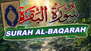 Surah AlBaqarah Full  سورة البقرة  Beautiful amp Heart Touching Recitation Of Quran  Arabic Text [upl. by Aehsrop]