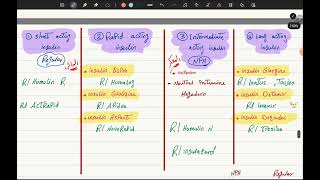 Antidiabetic Drugs P2 [upl. by Barcellona]