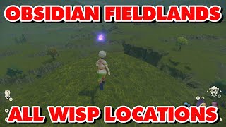 Obsidian Fieldlands Wisp Locations [upl. by Ahsekat]