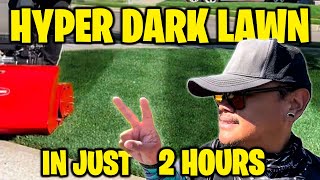 DARK LAWN IN 2 HOURS 🌚 FASTEST METHOD ON YOUTUBE Proven Results [upl. by Aihcila706]