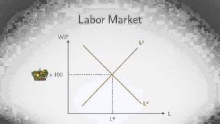 Lecture 16 Inflation Money Growth and Interest Rates [upl. by Kirbee]