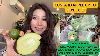 Custard apples THE SUGAR UP TO LEVEL 8 🤩🇦🇺🙏🌼 [upl. by Aeynod]