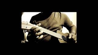 Ami to sei ghorer malik noi  ukulele cover [upl. by Airdnaed]