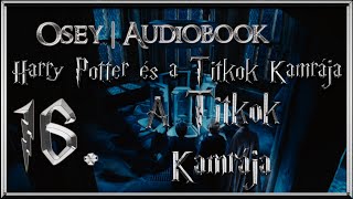 Harry Potter és a Titkok Kamrája hangoskönyv  16 fejezet [upl. by Nnylannej]