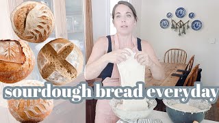 Once a Week Sourdough Bread Making Routine [upl. by Norak]