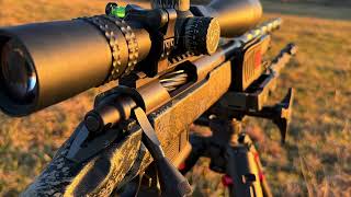 22 Creedmoor  Sub MOA Hornady Factory Ammo testing coyotes hunting 224 22creedmoor 22cm [upl. by Jaunita]