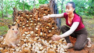 Harvesting Larvae and Pupae from tree trunks goes to the market sell  Daily life [upl. by Ayit484]