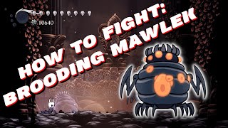 How to fight Brooding Mawlek  Hollow Knight Guide [upl. by Aicirt]