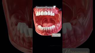 Dental Clinic at Alamcode Attingal Varkala Trivandrum Niraamaya Dental Lounge dentalcentre [upl. by Alair879]