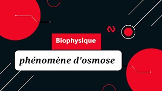 biophysique L2 chapitre 04 phénomène dosmose résumé marouadz [upl. by Nich]