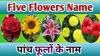 5 Flowers Name in english and hindi पाँच फुलों के नाम Flower Name I phoolon ke naam [upl. by Corsetti]