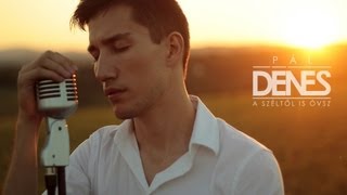 Pál Dénes  A széltől is óvsz Official Video [upl. by Nonrev]