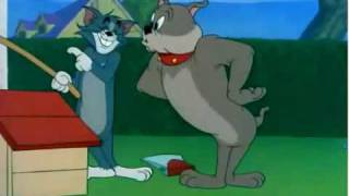 Tom and Jerry shortmp4 [upl. by Aneez280]