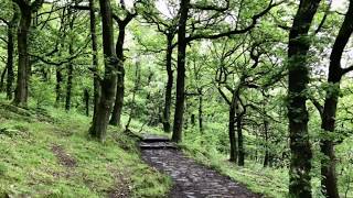 Padley Gorge and Hathersage Walk from Grindleford Station [upl. by Bloomer]