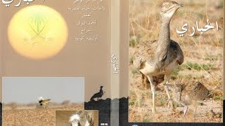 الحباري  HOUBARA [upl. by Eimile]