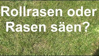 Rasen neu anlegen Rollrasen oder Rasen säen Vorteile und Nachteile Rollrasen und Aussaatrasen [upl. by Malachi]