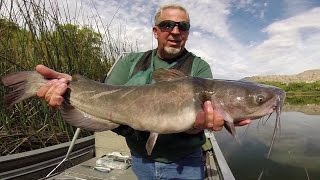 Channel Catfishing in Washington [upl. by Ajay]