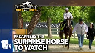 This years horse to watch isnt who you might think [upl. by Thalassa753]