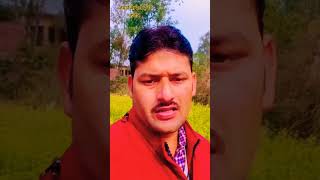 zamane ke dekhe Hain rang hajar youtubeshortsshortvideo viralvideotrendingvideo songhindisong [upl. by Noami]