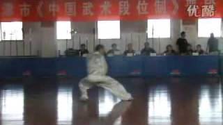 Li style Taiji Quan  Master Zhou jingxuan 2 [upl. by Attenrad]