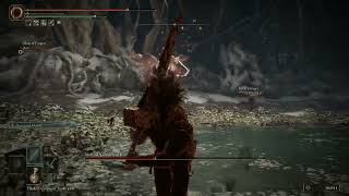 ELDEN RING  Malenia Boss fight Coop [upl. by Ennovahs941]