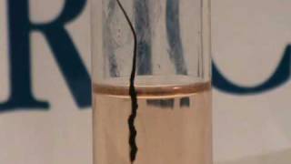 Carbon nanotube fibre dissolving in chlorosulfonic acid [upl. by Loring48]