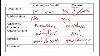 USMLE ACE Video 76 Actinomyces and Nocardia [upl. by Suilmann398]