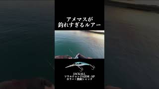 【誰でも釣れる】アメマスが釣れすぎるルアー shorts [upl. by Adnarahs]