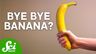 Bananas Are Not What You Think  The Shocking Truth [upl. by Eizzo]