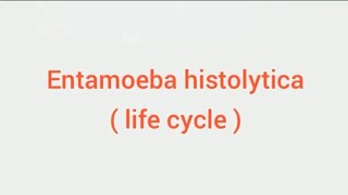 Entamoeba histolytica life cycle hindi Amoebic dysentry parasitic protozoan sciencespectrum07 [upl. by Shiri]