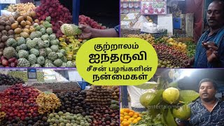 Five falls season fruits  Courtralam  2019 [upl. by Llennaj]