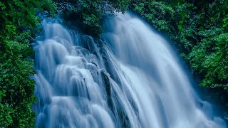 Waterfall Sleep Sounds  Nature White Noise for Sleeping [upl. by Maurie876]