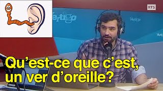 Questce quun VER DOREILLE dans le cerveau [upl. by Onnem567]