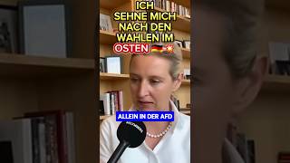 💥DER OSTEN wird Siegen 💥 afd landtagswahl thüringen 2024 höcke brandenburg spd ampelmussweg [upl. by Fairweather]