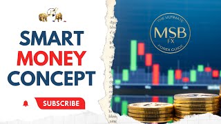 Best SMC Trading Strategy Beginner to Advanced  MSB FX [upl. by Neersin]