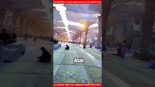 sonarmadina kolorob sadmansakibgojol gojol youtube shorts islamictune24 trending [upl. by Skardol]