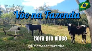 ▶️ Imagens de Drone em Fazenda com gado [upl. by Einnok]