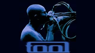 TOOL  STINKFIST LYRICS VIDEO [upl. by Viglione]