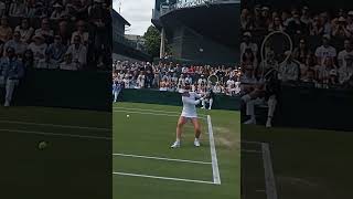 Barbora Krejčíková Wimbledon Masterclass wta tennis forehandwinner [upl. by Yvor]