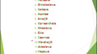 Barnoota Guyyootaa Torbaanii Jiootaa fii Woqtiilee Afaan Oromootiin [upl. by Pontius560]