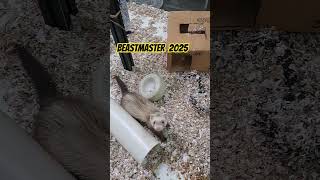 BEASTMASTER 2025 THE FINAL CUT entertainment animals [upl. by Anitnauq280]