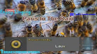 Paris In The Rain  Lauv Karaoke [upl. by Smiga]