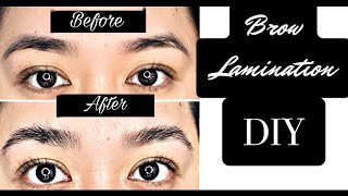 DIY Brow Lamination  ICONSIGN Tutorial [upl. by Farnsworth502]