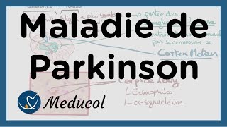 La Maladie de Parkinson définition symptôme traitement [upl. by Aniretak151]