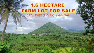 16 HECTARES FARM LOT FOR SALE PROP 163 SAN PABLO CITY LAGUNA [upl. by Crofton]